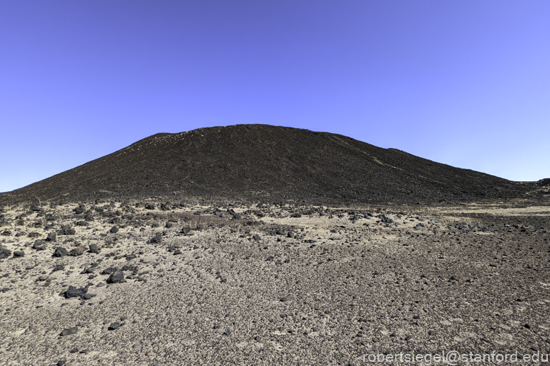 Desert Biogeography of Joshua Tree National Park